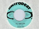 LISTEN U.S.A.KILLER GARAGE 45. JOKERS WILD - ALL I SEE IS YOU.