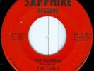 TENTH DYMENTIONS Bushman CHICAGO FUNK 45 on SAPPHIRE VG++