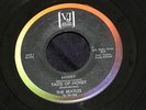 BEATLES EXTENDED PLAY VEE JAY EP-1903 -MINT RECORD ONLY