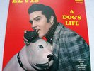 ELVIS PRESLEY A DOG'S LIFE RARE GERMAN AUDIFON LABEL VINYL EXCELLENT
