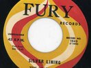 Starlites-Silver Lining-Fury Doo Wop 45 