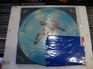 IRON MAIDEN SEVENTH SON OF ...RARE PIC DISC PLUS BANNER NWOBHM SAXON ANGELWITCH