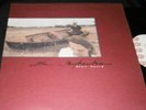 THE JAYHAWKS Blue Earth LP RARE ORIGINAL TWIN TONE RECORDS 1989