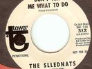 SLLEDNATS(SLED’NATS):(Standells) Don’t Tell Me What To Do 2:48-U.S. Tower 312DJ