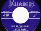 Little Rose-Trip To The Moon-Rare Texas Funk 45-Palladium 603-HEAR