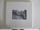 SUNN O)))) Whitebox LTD ED 500