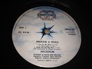  ALBUM: ARCADIUM. BREATHE AWHILE. ORIGINAL MIDDLE EARTH. EX VINYL.