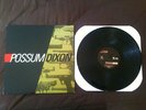 POSSUM DIXON self titled LP Sonic Youth Weezer Urge Overkill Nirvana Beck RARE
