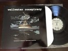 Wellwater Conspiracy Brotherhood Of Electric LP QOTSA Kyuss Pearl Jam Vinyl 1000
