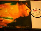 JULIAN´S TREATMENT- A time before this  Youngblood D 70  in vg+/vg+  NUR 1. LP
