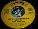 JENA JOHNSON Punk Powerpop? 45 Livin In Love In New York City b/w Jackie