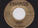 '64 Rockin' SURF Instro POLARAS Breaker/Cricket PHAROS 100 M- HEAR NOW