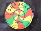 O-W-L - SHADY TREE - SHEBAZZ
