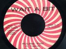 Sam Bramwell - Ruling Time JA orig 45 ??