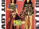 T.REX - Get It On/Hot LOve -  IRANIAN prs. ps 45