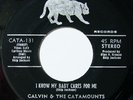 X-over Soul CALVIN&CATAMOUNTS i know my baby CATAMOUNT