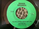 GUITAR RAY - YOU'RE GONNA WRECK MY LIFE -  NORTHERN SOUL 45 SHAGG..HEAR