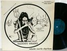 SADDHU BRAND: Whole Earth Rhythm LP private eastern folk psych rare