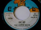 CAT NIP - LLOYD CHARMERS & THE HIPPY BOYS