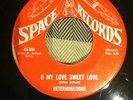 RARE SWEET SOUL ....DETERMINATIONS (SPACE)