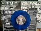 NASUM/AGATHOCLES 7