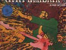 2 LP´s - Jimi Hendrix - In From The Storm - Swingin Pig