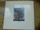 Talk Talk  Spirit of Eden  LP Emi 1988