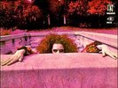 Frank Zappa - Hot Rats - Near Mint Gatefold LP Vinyl