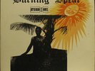STUDIO ONE - BURNING SPEAR - RARE SILK SCREEN PRINT COVER - COXSONE  DODD