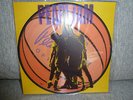 Pearl Jam - Ten Vinyl Pic LP 1992 NM/M- Soundgarden Nirvana Mudhoney Tad