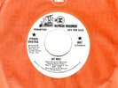 FRANK SINATRA- 45RPM - 