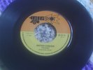 The Tennors Another Scorcher b/w My Baby Rare Big Shot BI 517