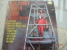 The Bobby Fuller Four I Fought The Law LP 1966  VG ++