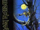 Iron Maiden - Fear of the Dark Vinyl - First Pressing EMI 1992 - Gatefold