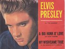 ELVIS PRESLEY  SINGLE NM/EX ITALY ITALIAN 45N 0864 YEAR 1959 DIFF COVER