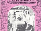 The Seeds A Thousand Shadows  CLASSIC GARAGE 45 AND PIC SLEEVE HEAR
