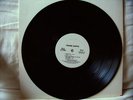 Frank Zappa  Sheik Yerbouti   Promo  LP