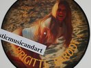 BIRGITTE BARDOT NUDE SEXY PICTURE DISC LP SERGE GAINSBOURG HARLEY DAVIDSON RARE