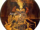 PICTURE LP:Sepultura,Arise(RARE PICTURE DISC)[NM] (Roadracer Records)