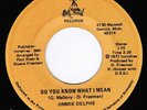 JIMMIE DELPHS  /  DO YOU KNOW WHAT I MEAN  /     