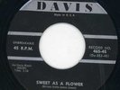 Dovers-Sweet As A Flower-Davis Doo Wop 45 