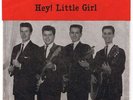 LA CROSSE WISCONSIN GARAGE THE CATALINAS 45 rpm PICTURE SLEEVE HEY LITTLE GIRL