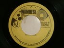 WAMBESI - Them Say - DON CARLOS (EARLY 80s ROOTS) ??