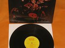 THE LITTER Distortions  ORIG MN WARICK GARAGE LP 1967 + BONUS 180 gram