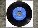 NORTHERN SOUL TRY A LITTLE HARDER by THE FIDELS VOCAL/INST. **VERY RARE**