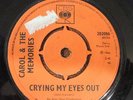 Carol & The Memories - Tears On My Pillow - 1966 - Merseybeat - Walker Brothers