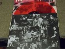 Misfits Walk Amoung US Record Store Day RED vinyl Unplayed