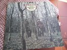 Magnificent Progressive Folk GAY & TERRY WOODS Backwoods Polydor UK 1975