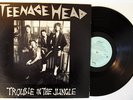 Teenage Head - Trouble in the Jungle - LP Vinyl - 1985 Warpt Records - RARE