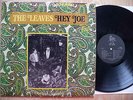 THE LEAVES- HEY JOE RARE 1966 ORIGINAL STEREO GARAGE PSYCH LP ON MIRA LABEL